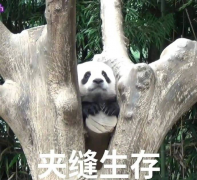 经济不景气，摸鱼打游戏每个月多赚2000大赢特赢，MMO真有这么赚？